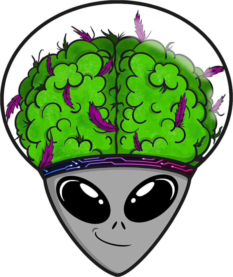 budbrain-logo